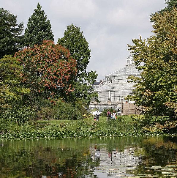 Botanisk have i Köpenhamn.