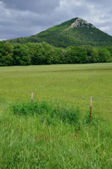 Pinnacle Mountain State Park